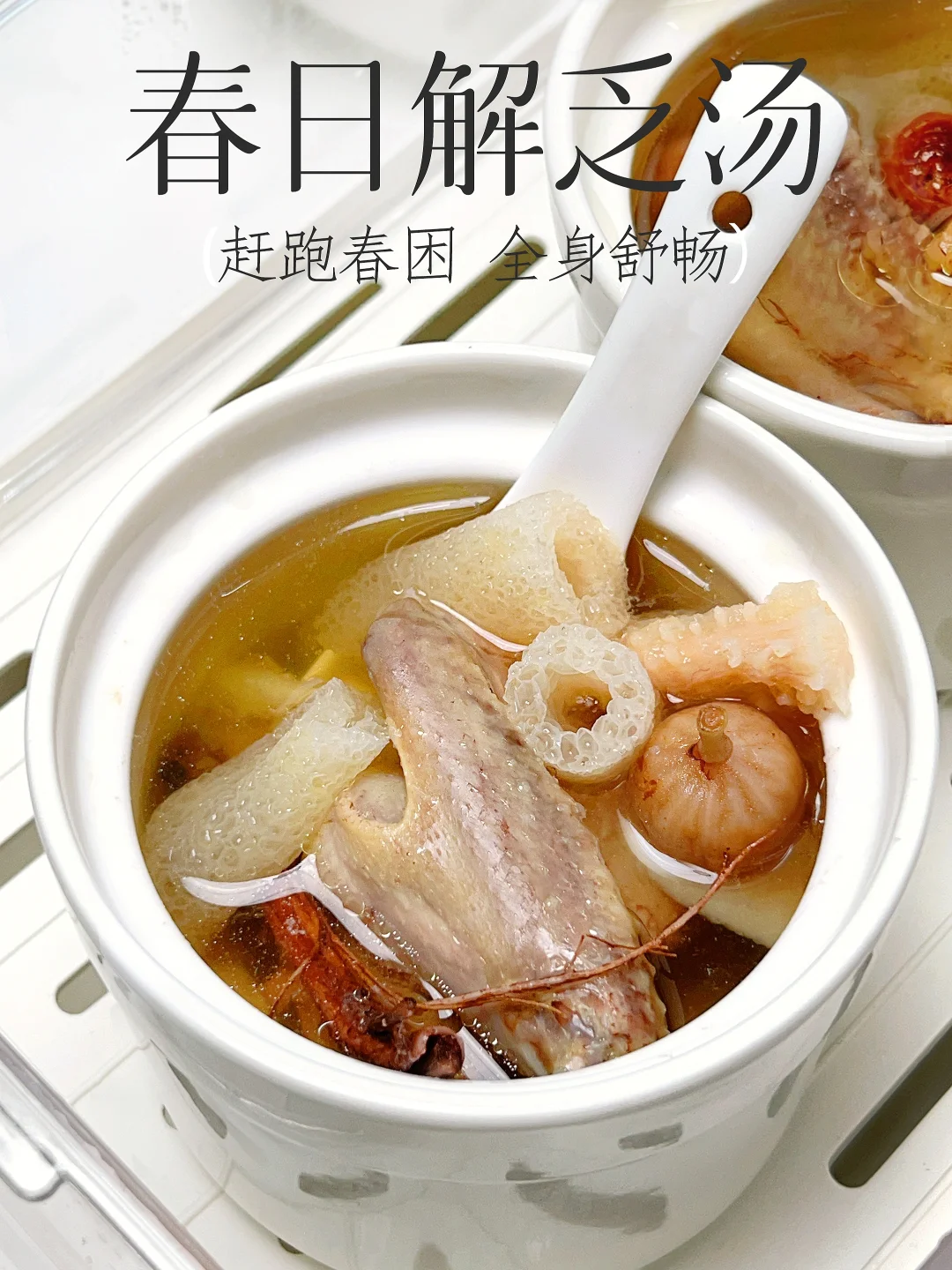 春季小毛小病最磨人 养好轻松一整年 巨好喝