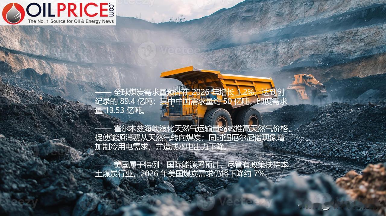 国际能源署预计，霍尔木兹海峡危机将推动全球煤炭需求创历史新高



国际能源署预