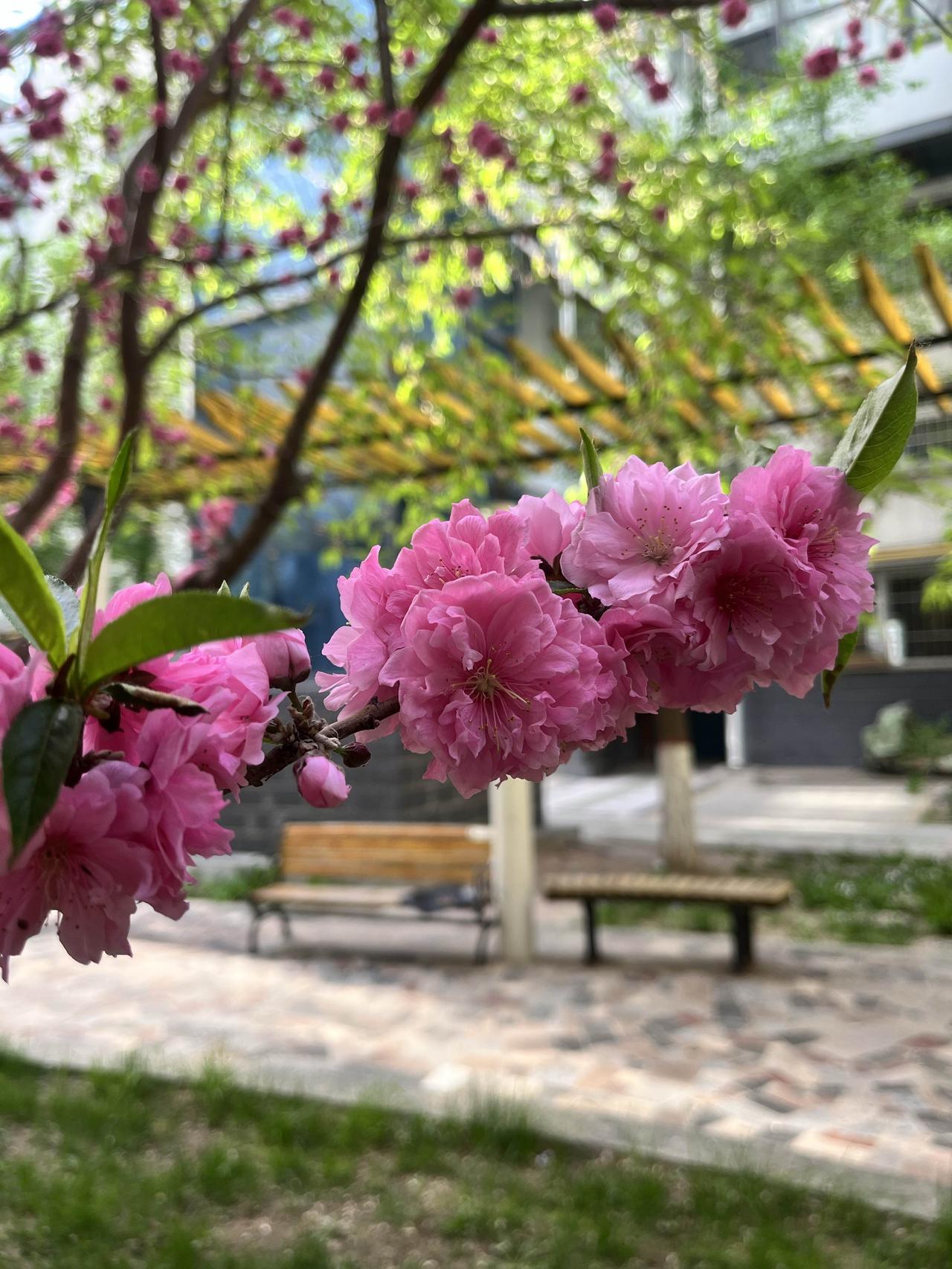 千万不能以貌取人

1、退休后在一家宾馆打工，和我交接班的小王，每次下班的时候，