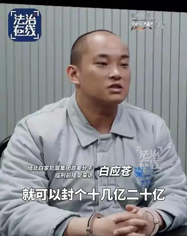缅北电诈犯罪头目白应苍谈到当地的诈骗风气时说，“不做诈骗，就代表无所事事。我觉得