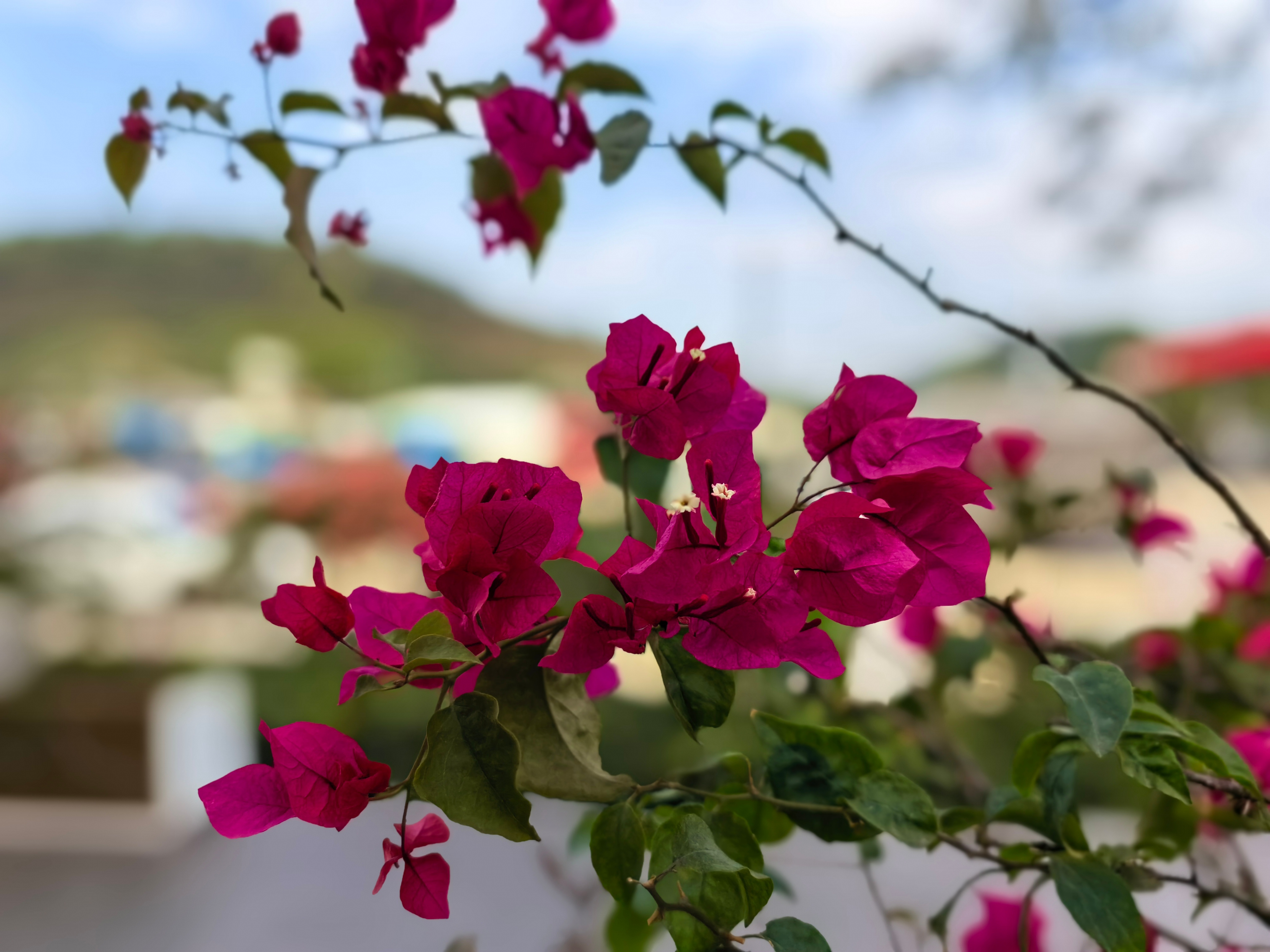 闲话投资1214孙子曰：善用兵者，避其锐气，击其惰归。个人随笔：1. 孙子强调：