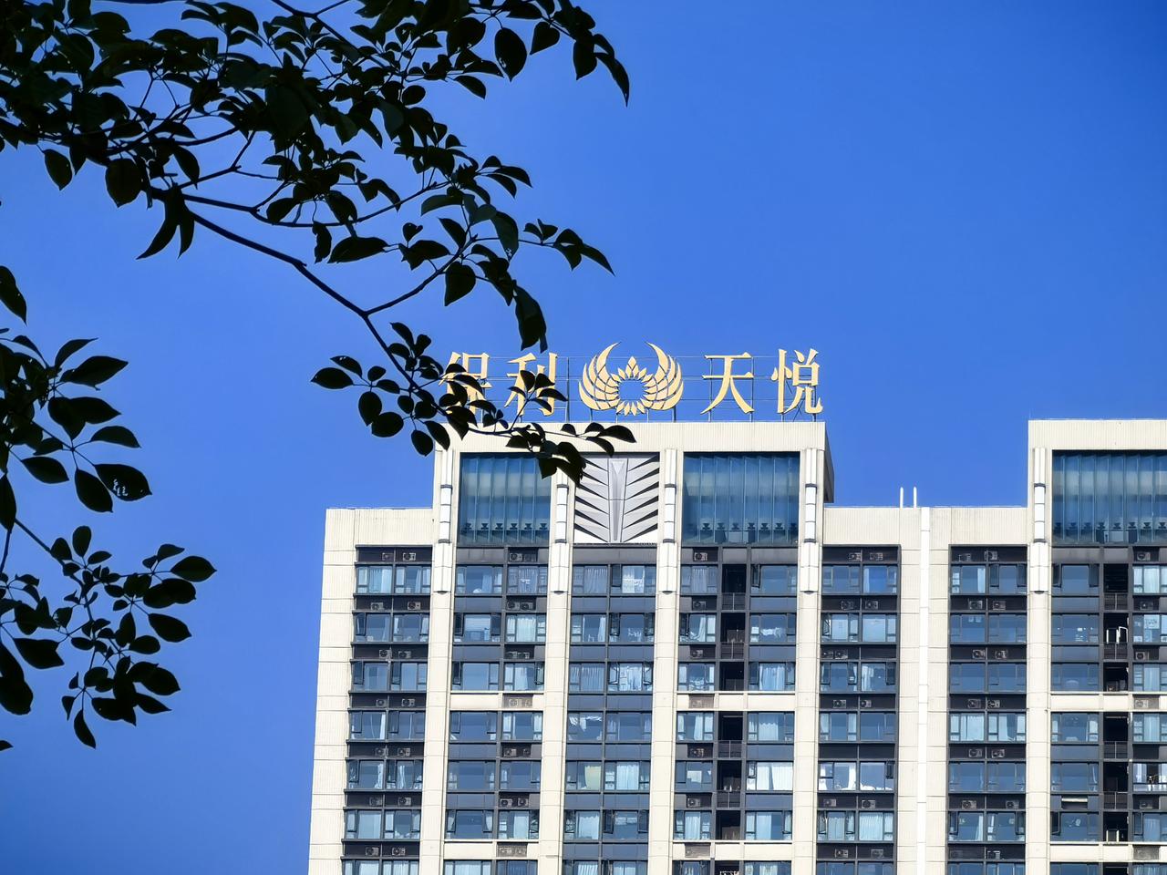 琶洲这个地方果然还是寸土寸金的地方。作为一个新区，市容市貌要比老城区好得多，甚至