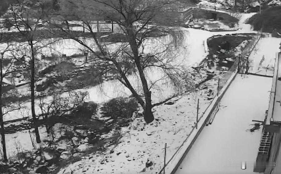 高纪明(山东)
雪中题
门外寒风吹白雪，灶中生火煮红茶。
一年岁杪好时节，不到梅