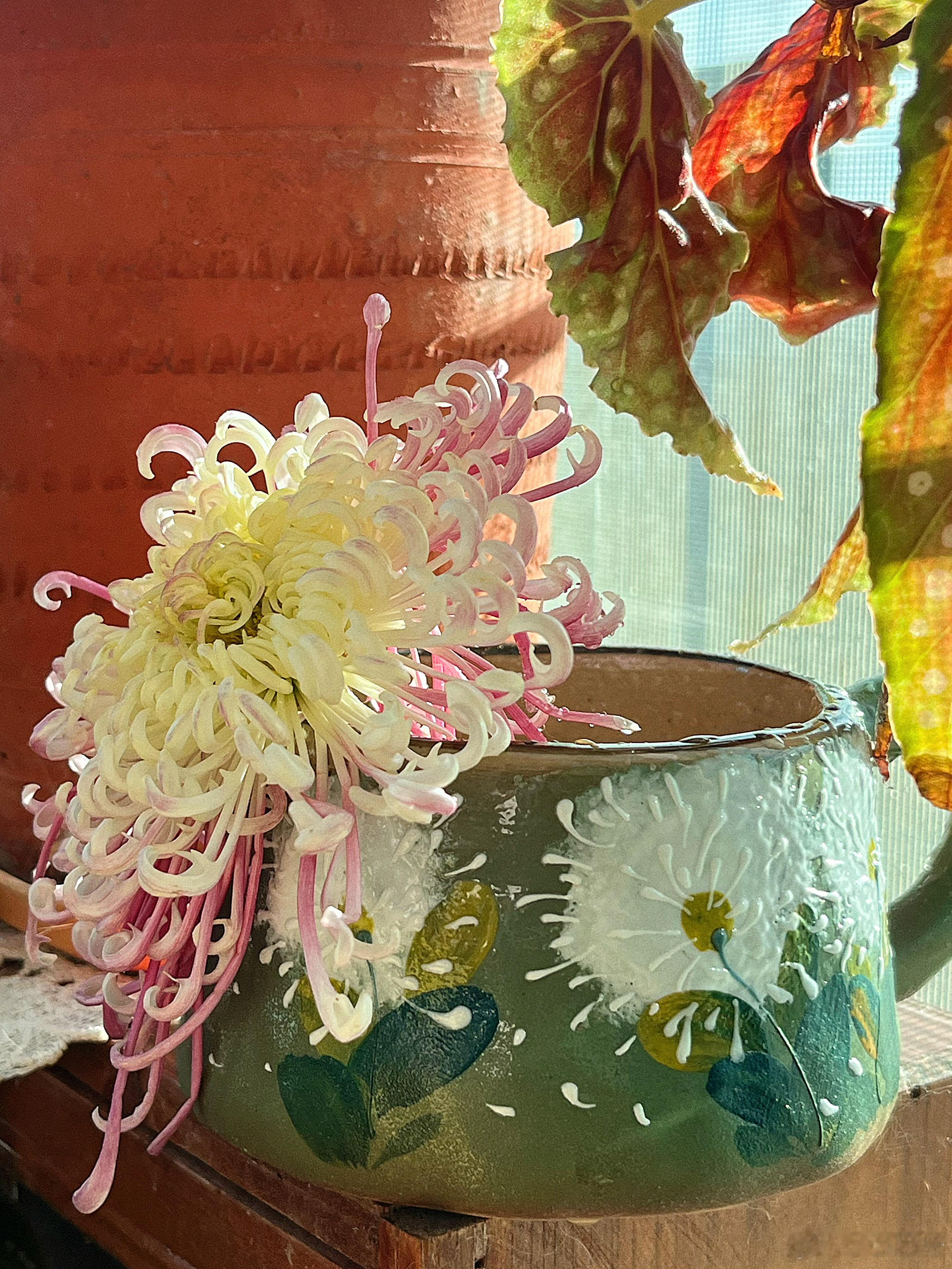 算了 你们肯定觉得没意思 正是我的日常 