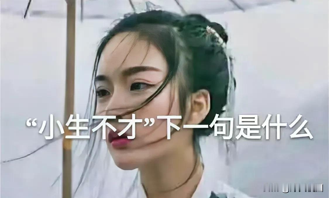 小生不才下一句是什么？一句顶半句 半句不对就开搞