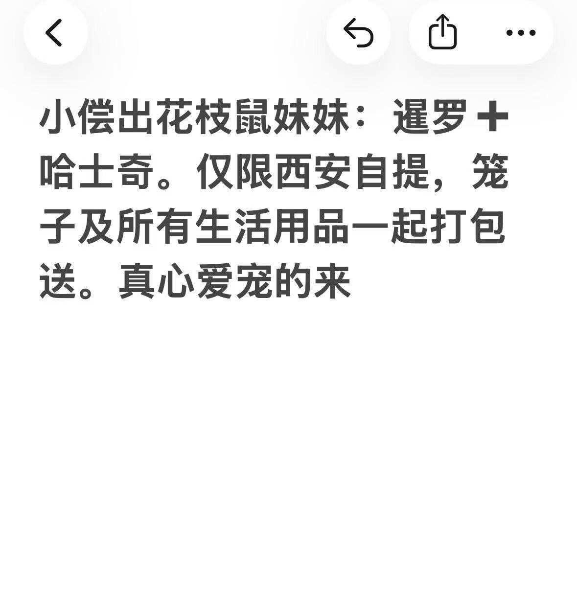 帮朋友出：她马上要离开西安了，家太远，急出，价格可以商量领养 自提 花枝鼠 花枝