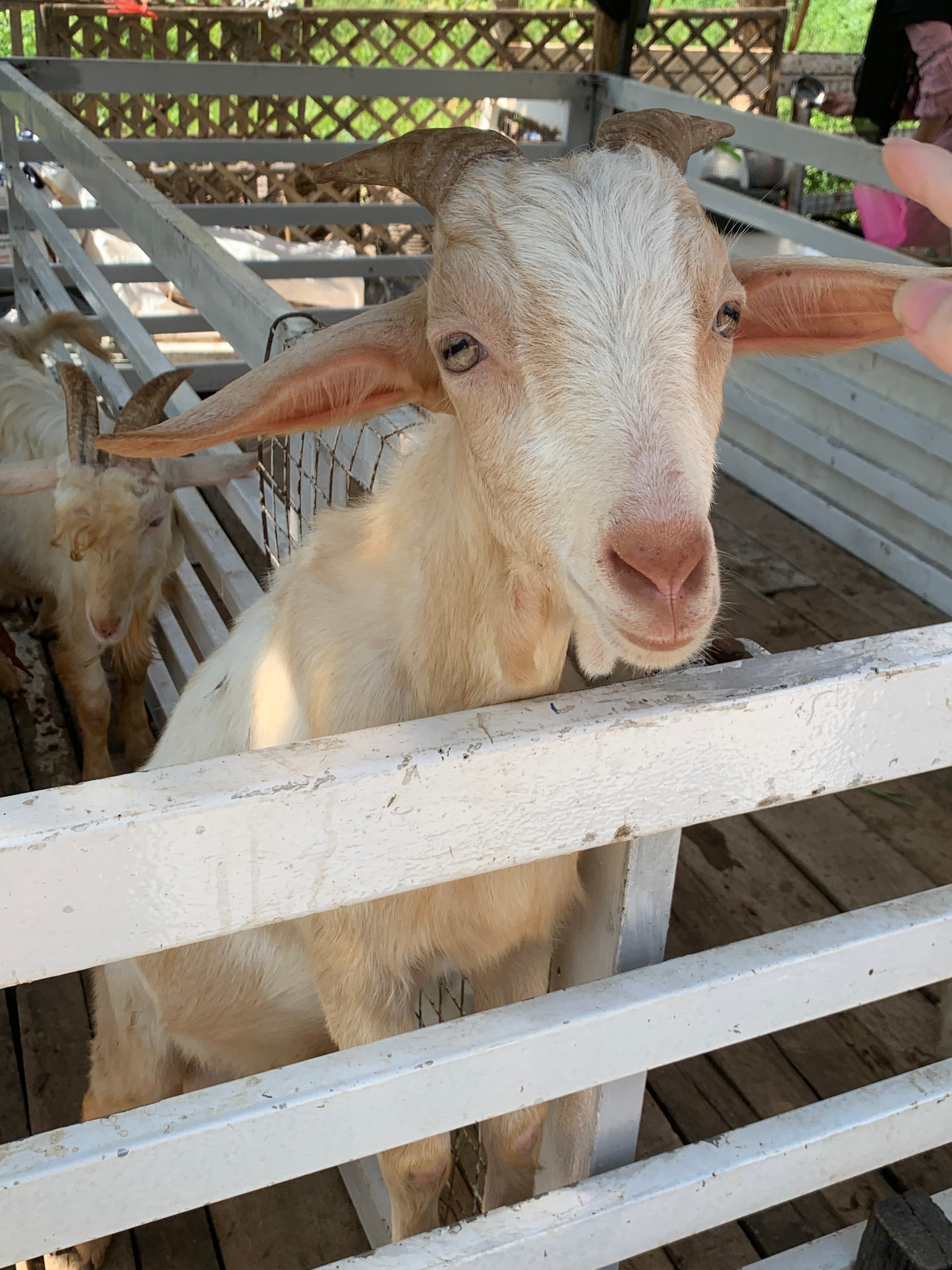 现在开始 体感升温 ☀️是只有一天周末也要出去浪的e人一枚 ​​​