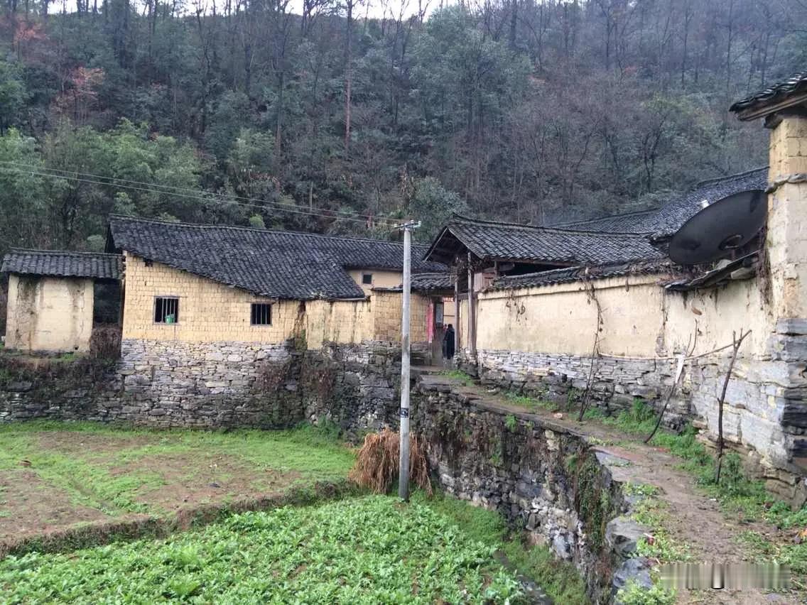 七排·稚孙跳圈图
（2025年3月23日）
膝前稚子闹春酣，憨态连环步不堪。三岁