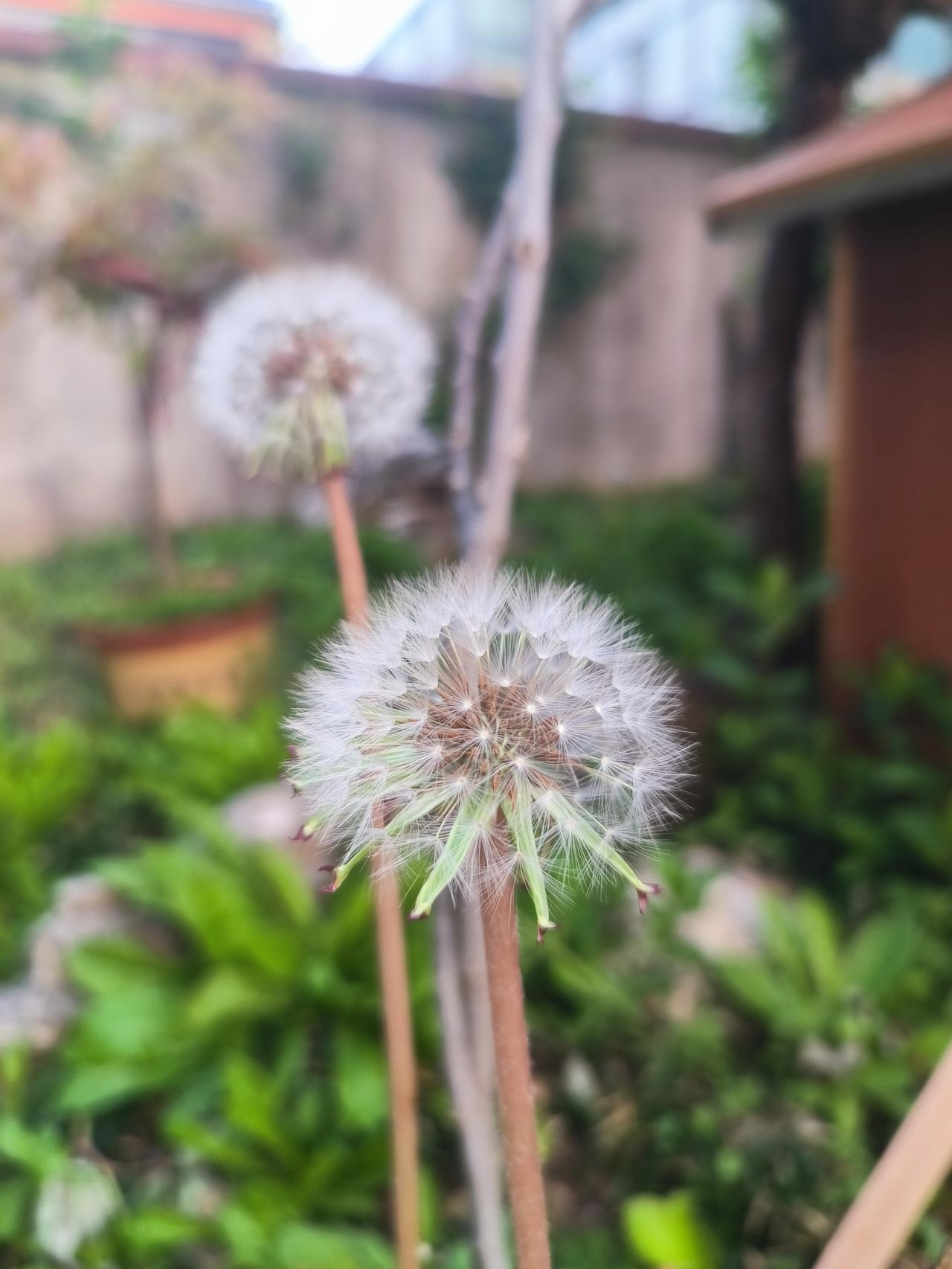 关于教育，似乎所有人都能指指点点，有些事情觉得不可思议。家长经常会指责老师不会教