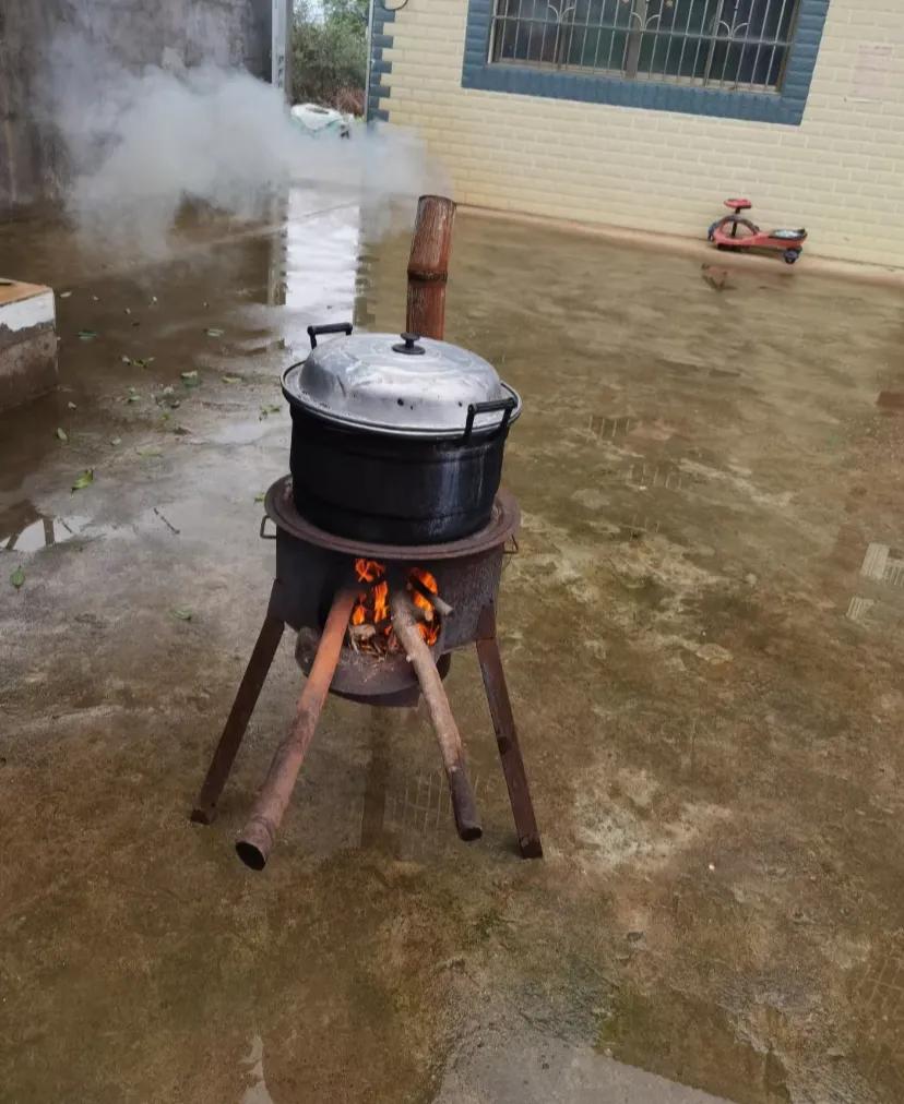 暑假不要带娃回农村
这个暑假带娃回了一趟湖南老家
本意是想着让娃多接触大自然，以