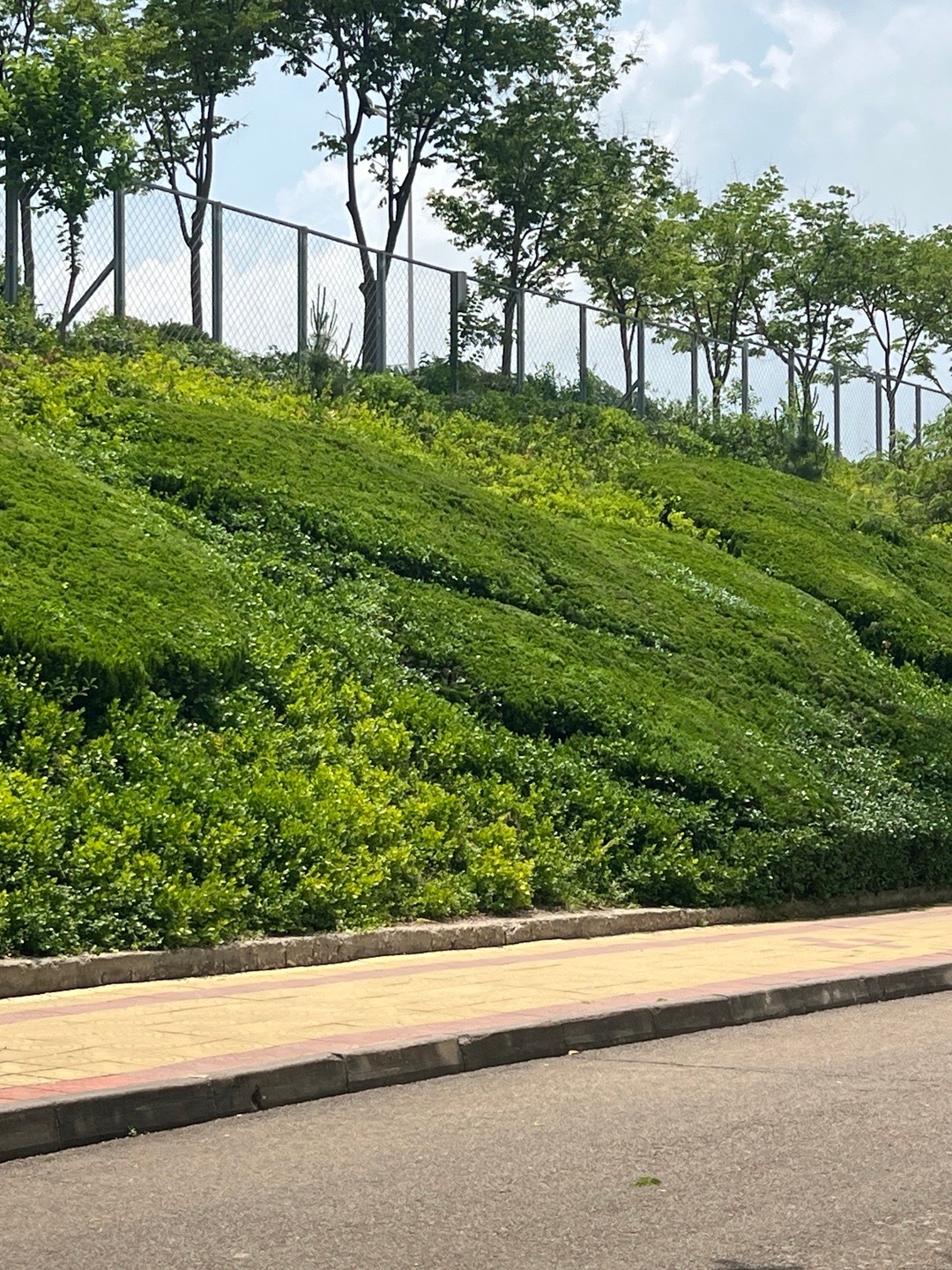 所以今天就在想 这给我一种山的感觉 上坡下坡永远不平