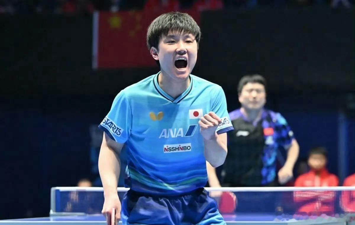 张本智和向日本谢罪！回应被逆转：梁靖崑韧性太强 两年后定复仇2026年伦敦团体世