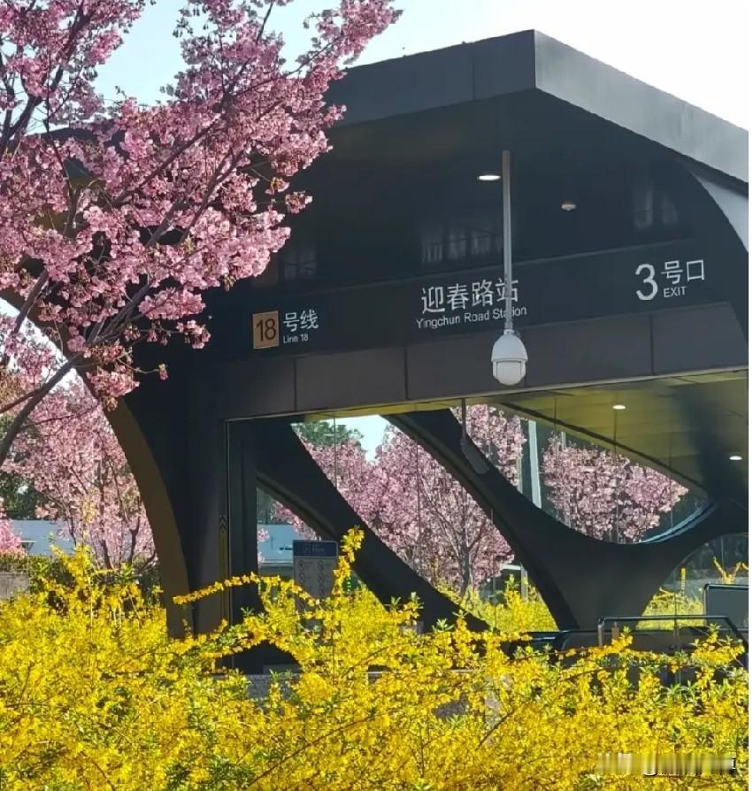 上海的梅雨天你喜欢吗? 一方水土养一方人。也许一直在江浙沪生活，所以我很习惯和喜