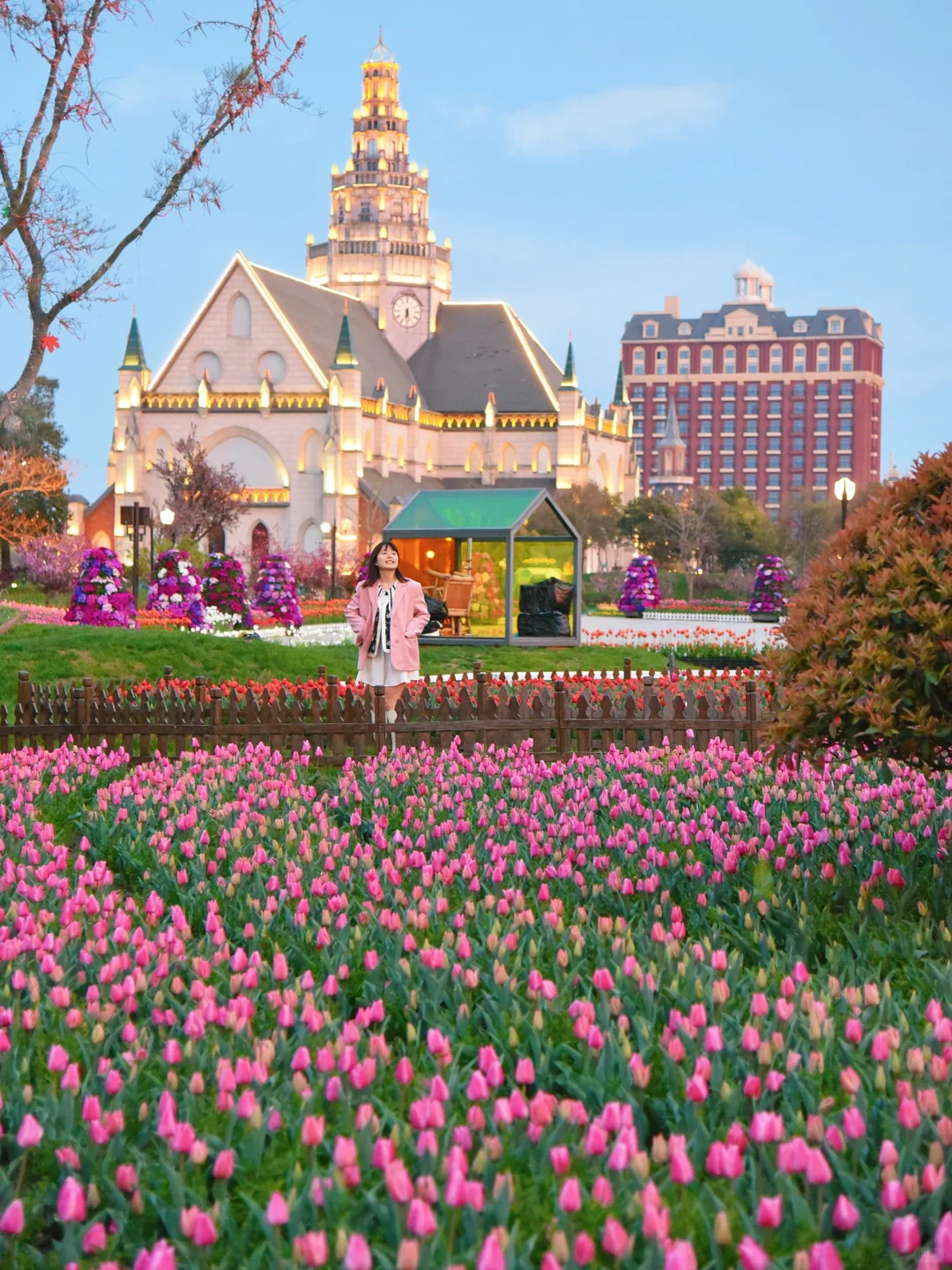 不要相信网图，盐城荷兰花海实际长这样