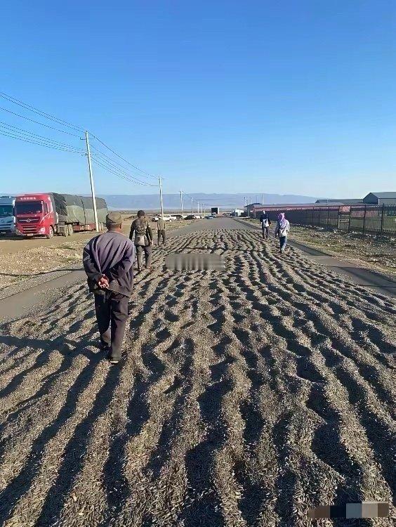 天都塌了，晒瓜子原来是不停的在里面走路再也不吃瓜子了