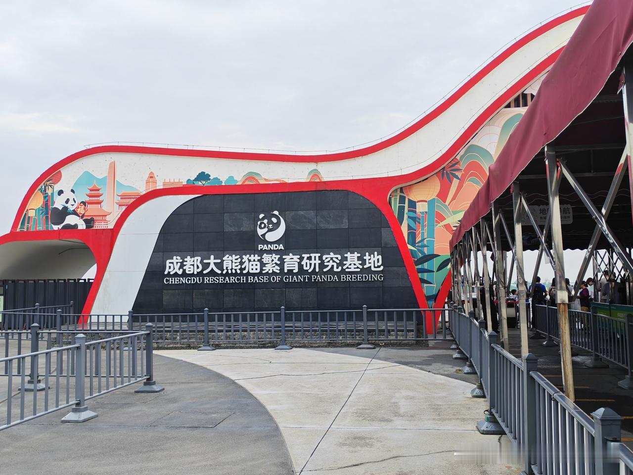 昨天参观了成都大熊猫繁育研究基地。

从春熙路爬墙大熊猫屁股下面坐直通车单程8元