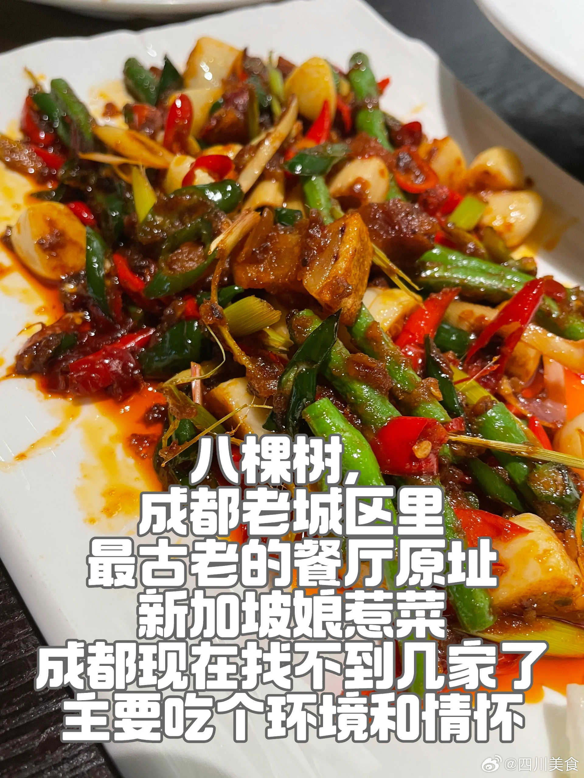成都美食推荐·八棵树餐厅·八棵树餐厅，就在著名的平安桥天主教堂旁边，门口有八棵百