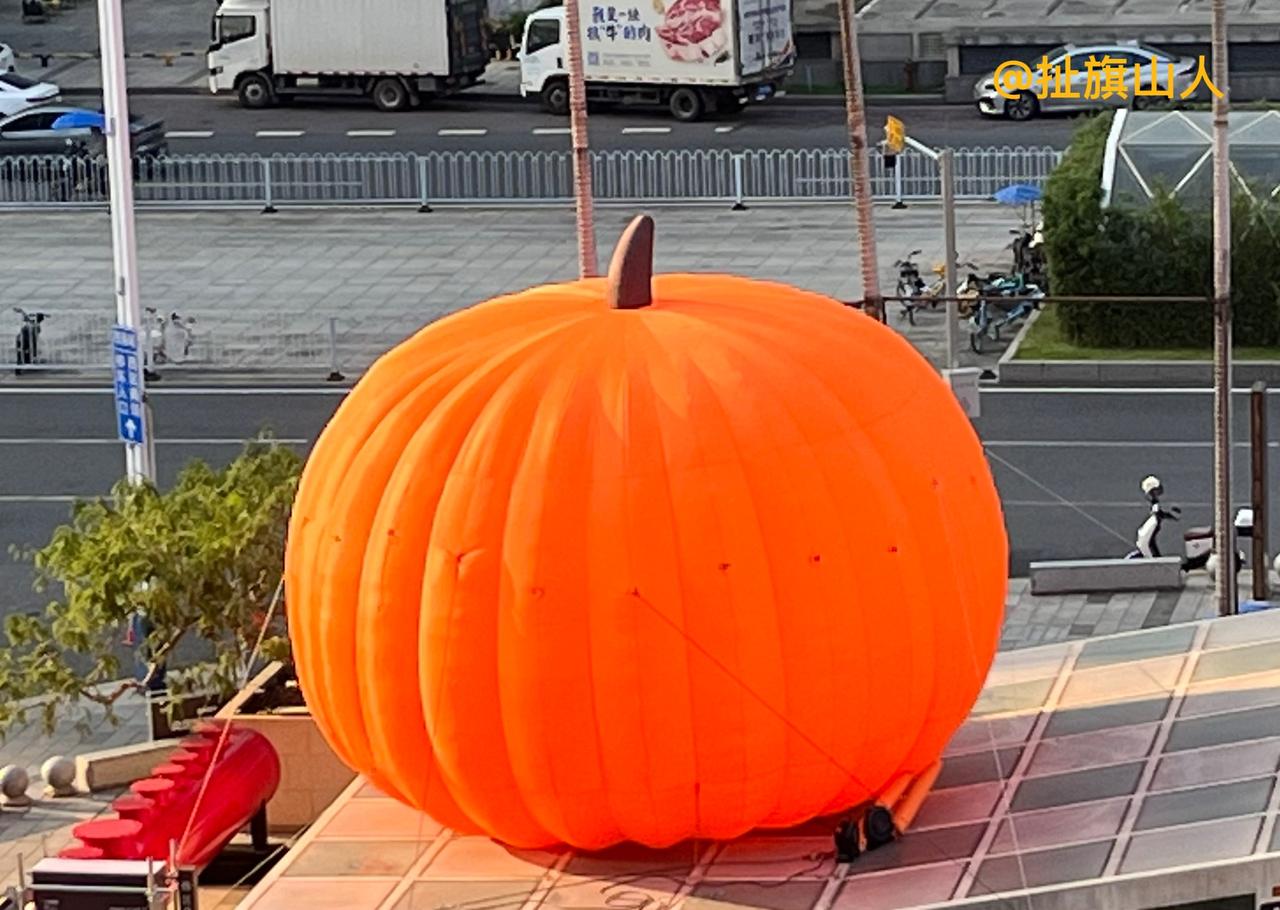 这个南瓜真大啊[作揖][捂脸]
2025年10月，我用手机摄影的照片。