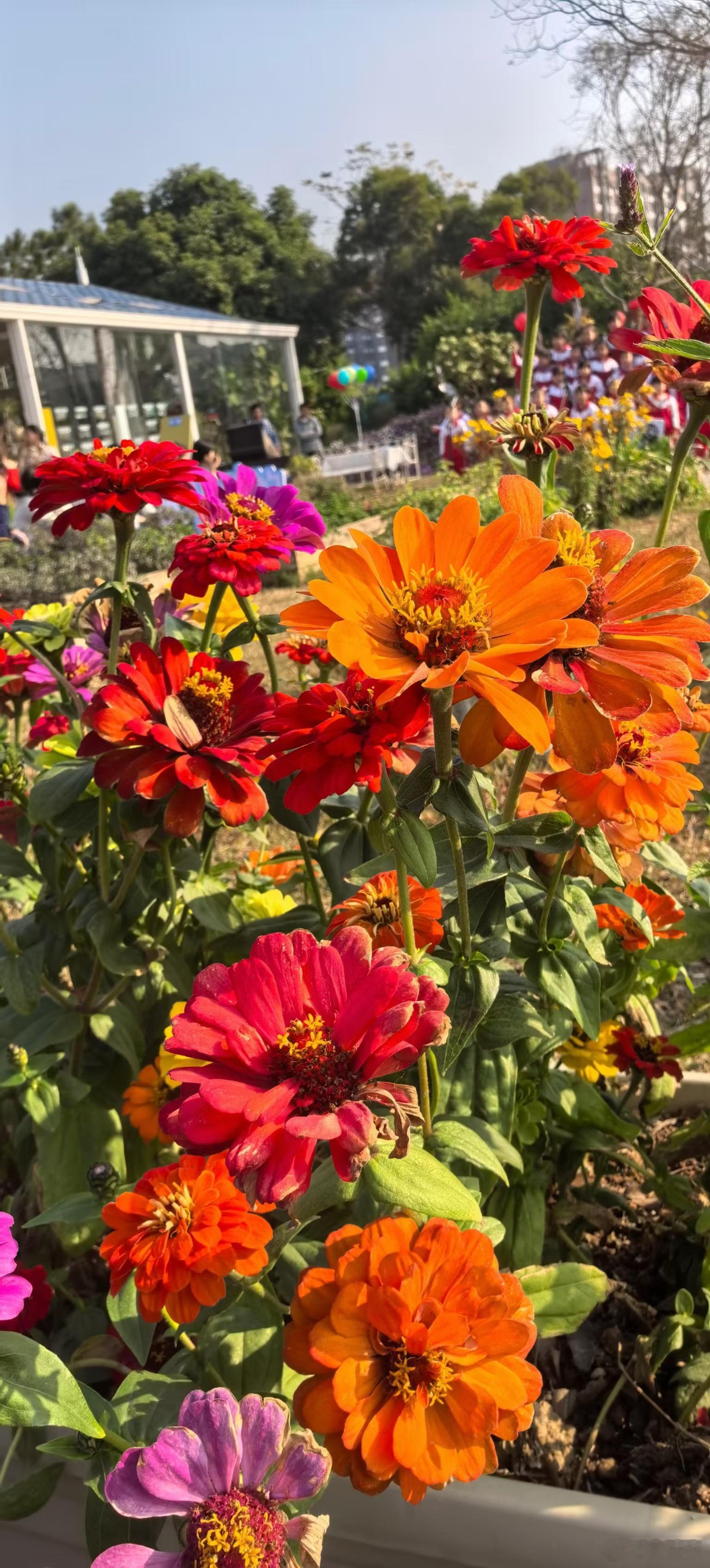 哪部剧的男主最符合你理想的老公标准？  