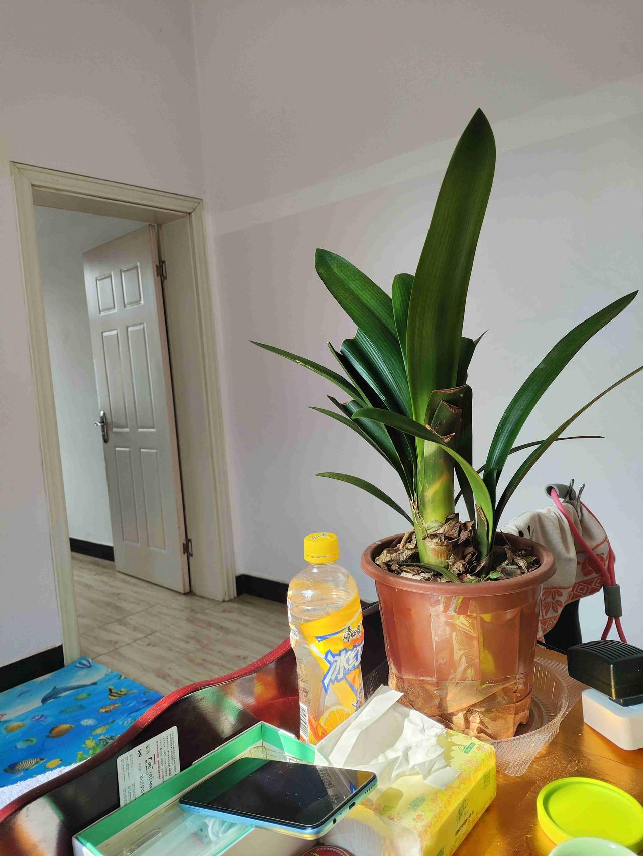 我的今日状态：😁轻松愉快
我这里的天气：🌤️多云