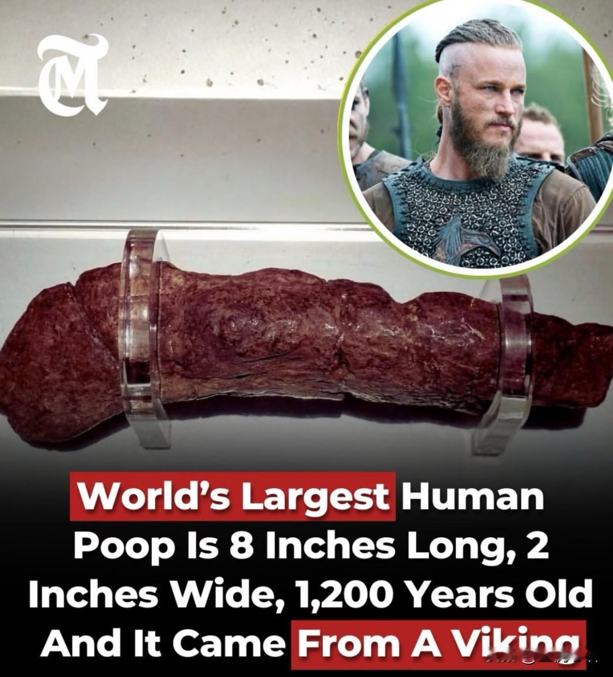 1972年英国约克挖银行地基！
一铲子下去，
挖出个“惊天大宝贝”！

1200