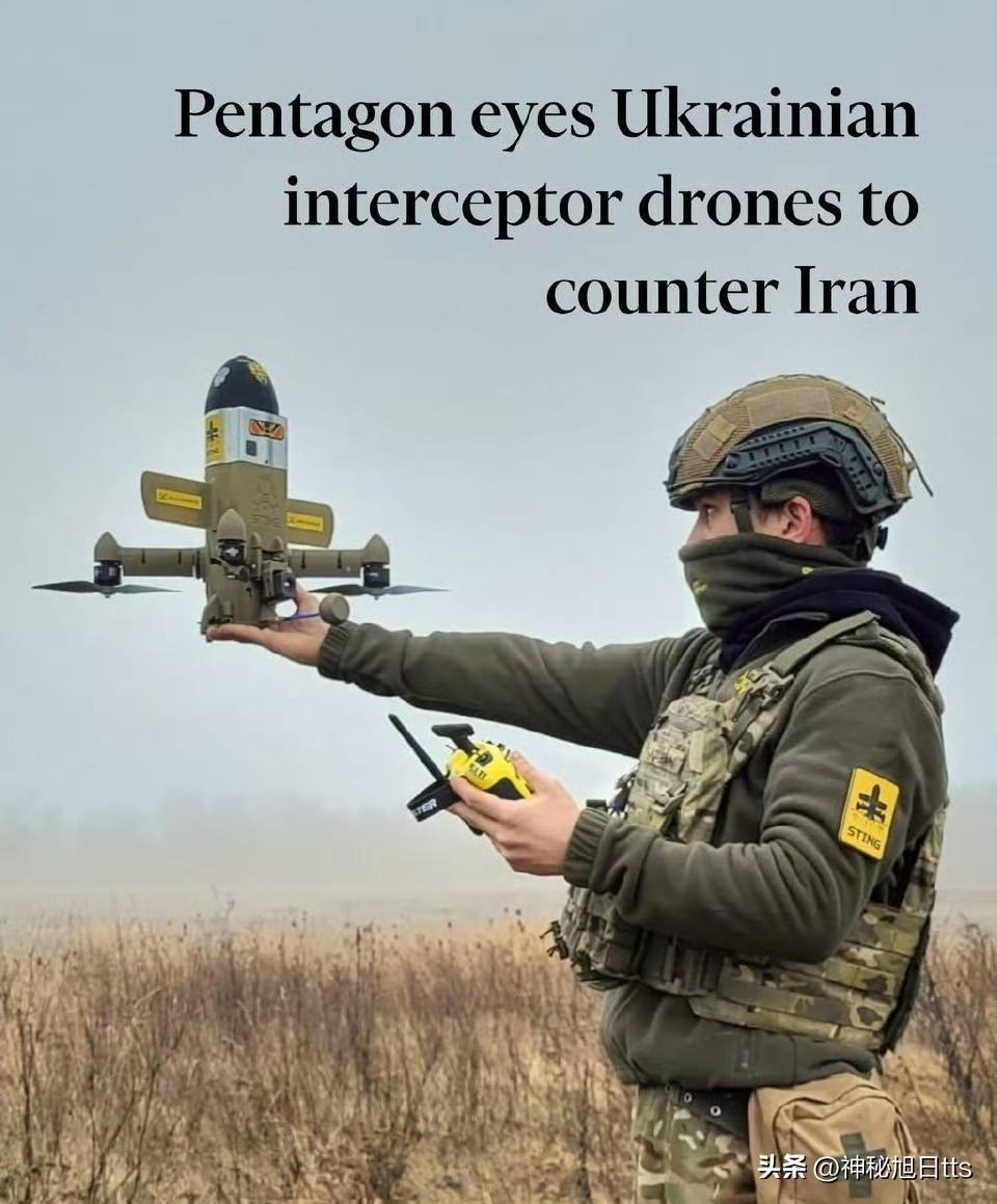 在经历了四年战争后，乌克兰开始输出军事装备与人员。

在有限的弹道导弹与发射装置