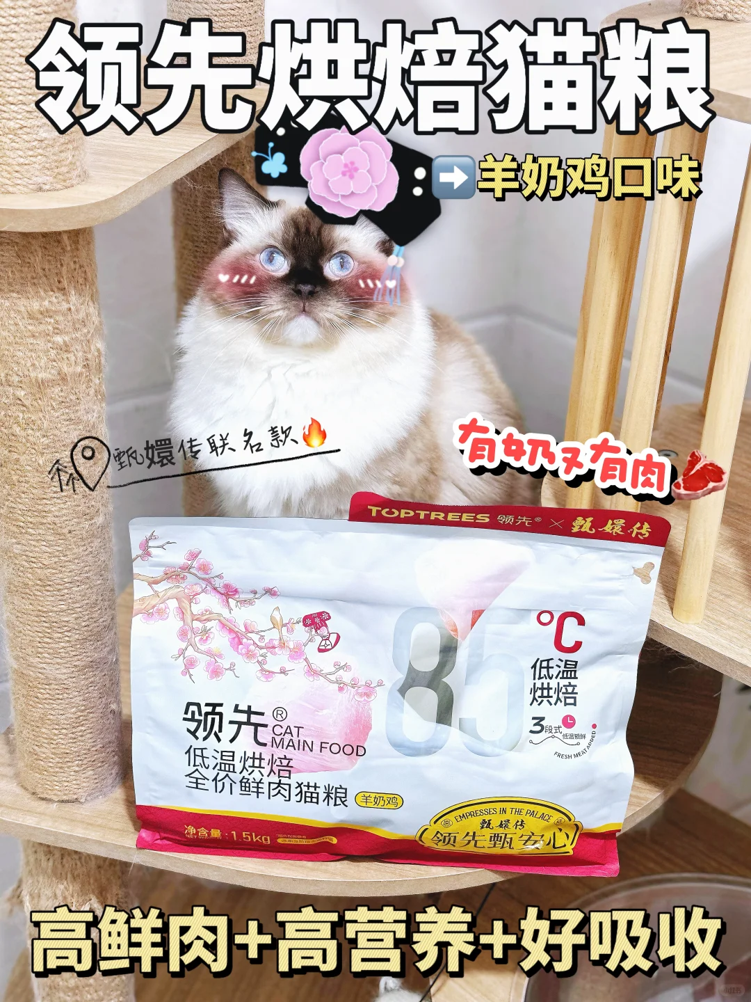 猫粮别挑花眼啦❗这些款真的🉑猫粮闭眼入