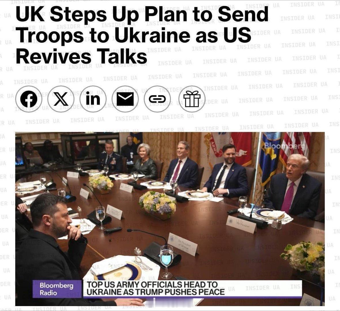 鉴于美国与俄罗斯达成乌克兰和平协议可能引发局势升级，德国表示将提供远程火力支援，