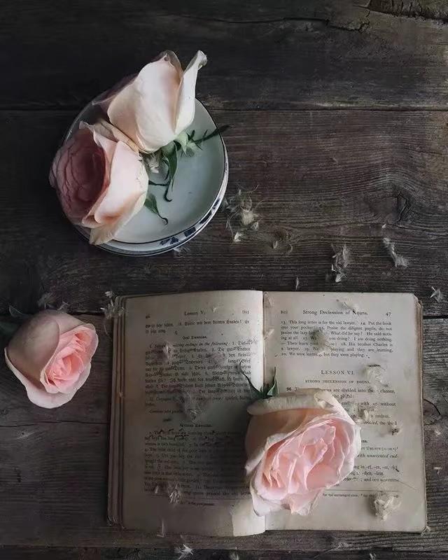 一段非常有道理的话：“一个人最傻的行为就是炫耀，最大的愚蠢就是话多，最高的境界就