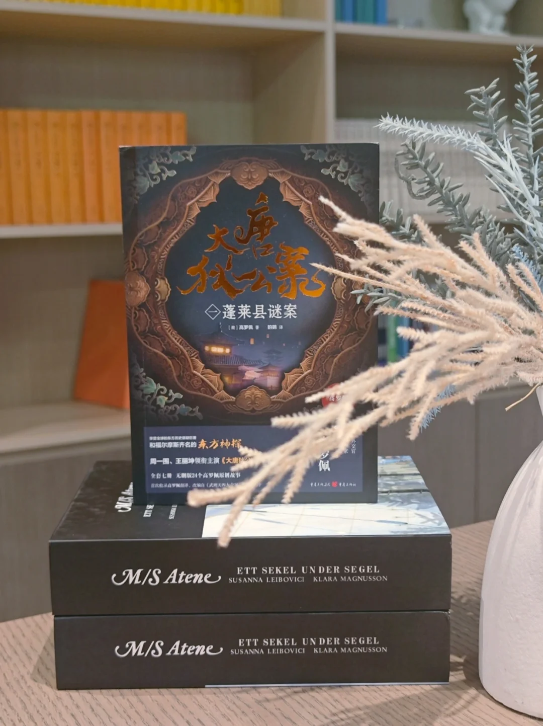 古风推理小说天花板！比电视剧还好看百倍～