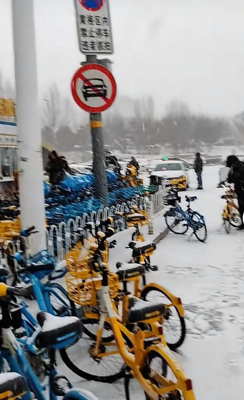 今天沈阳下雪了
但作为沈阳人的我还是被一个外地朋友提醒的
一大早，一位南方的朋友