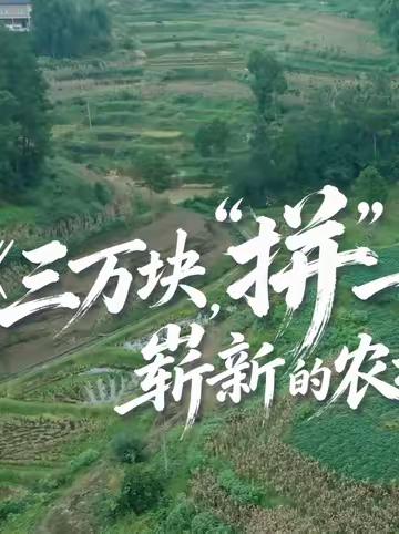 #女儿用拼多多给农村父母远程装修 小时候，父母盼着孩子走出大山；长大后，女儿隔着一百多公里，想把爸妈
