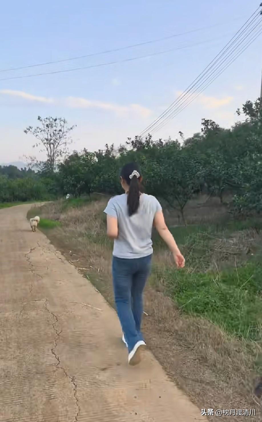 世上的烦恼，无法提前解决。该来的总会到来，不必预支明天的忧愁，认真做好当下眼前事