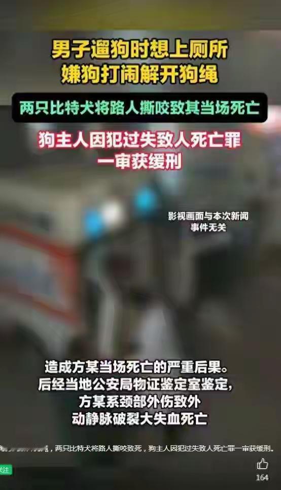 违法饲养烈犬，明知危险却解开狗绳放任烈犬四处活动，最终致人死亡，居然仅仅是过失致