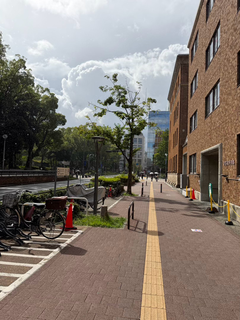 哇噻第一次遇到这么大的太阳雨 