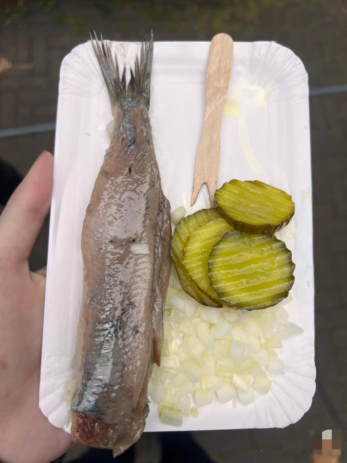 第一次吃荷兰美食，好吃到哭…？不是…哪好吃啊生鲱鱼咸黄瓜配米饭…你确定这能吃吗美