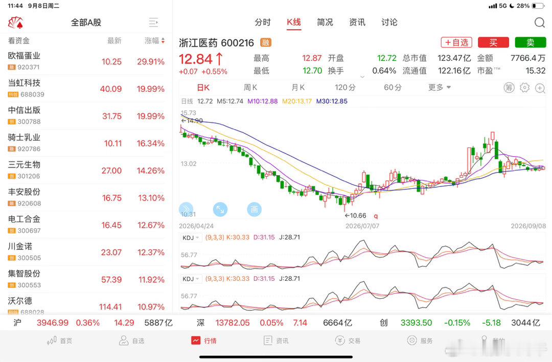 浙江医药，这个票怎么样？谁知道告诉我一下，我想买点可以吗？ ​​​