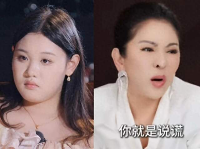 向太谈及张家齐母女矛盾，直言对方谎话连篇建议断清往来
