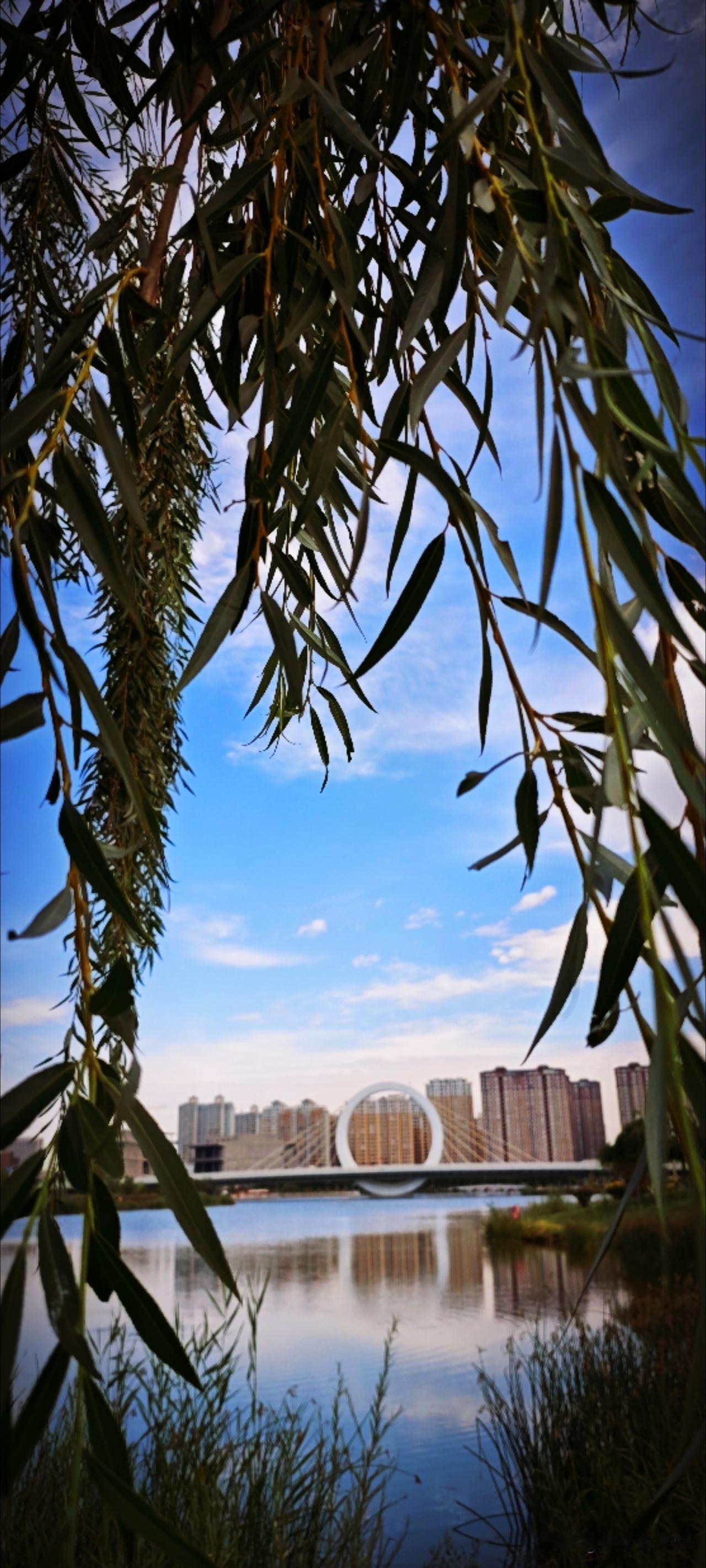 柳条勾勒出风的模样，小憩的老爸满意的抽一口烟，夏天的遗憾，一定会被秋风温柔化解。