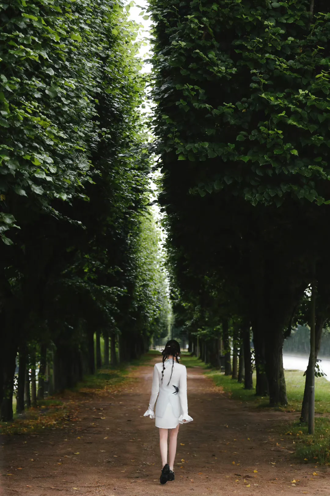 绿林间🍃欣欣子
