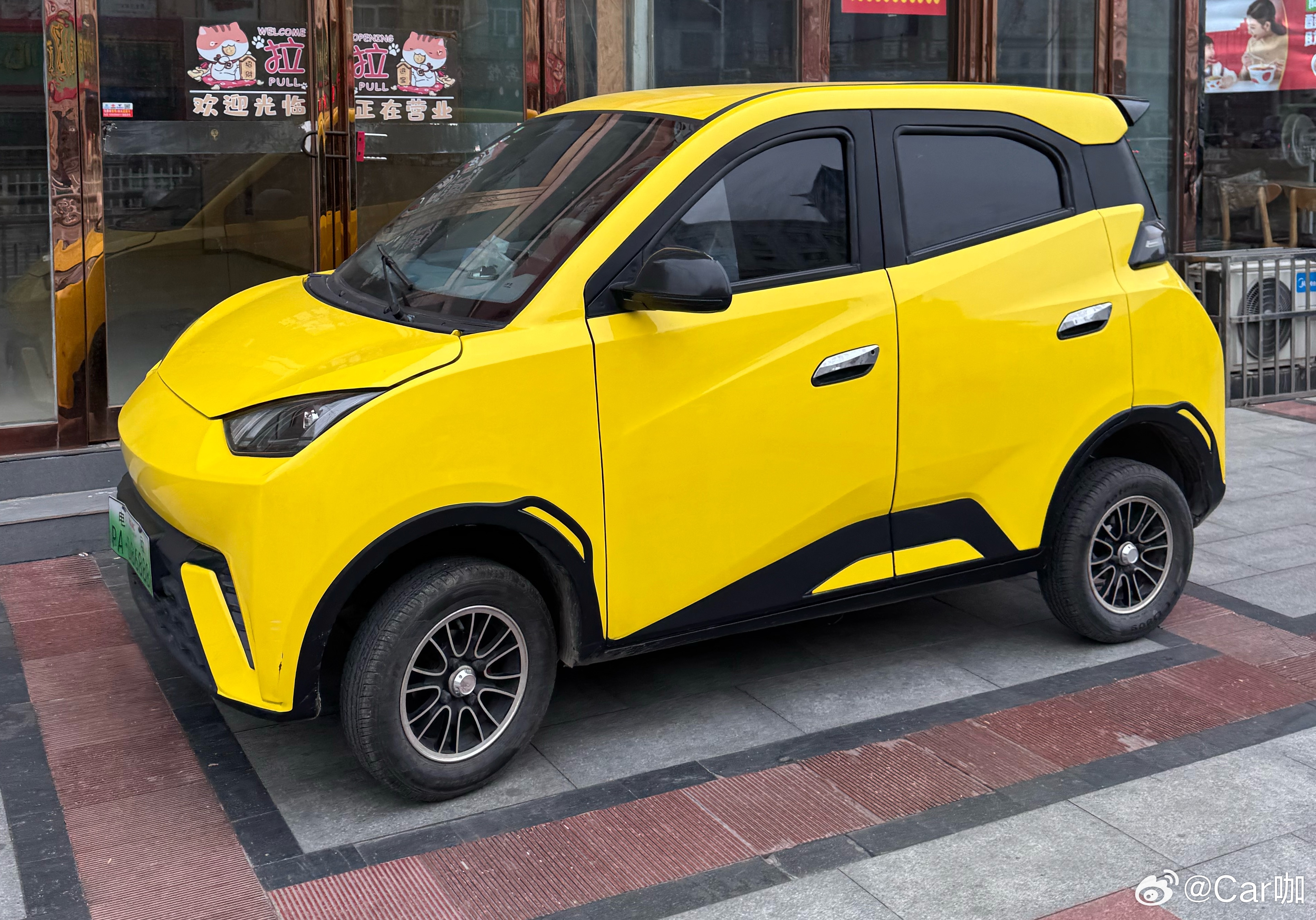 海鸥也有老头乐了