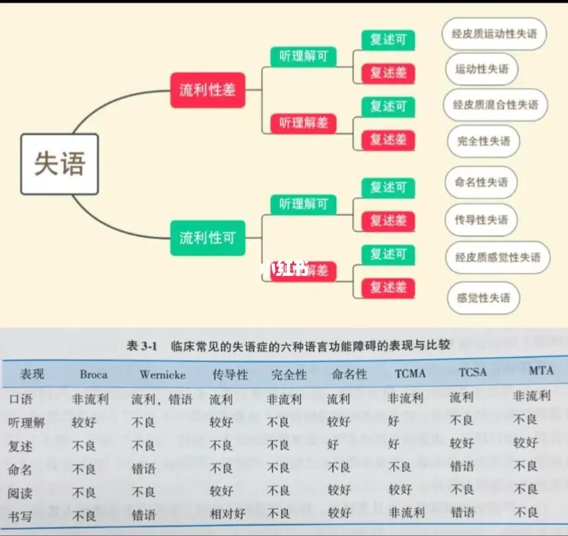 失语症分型整理
