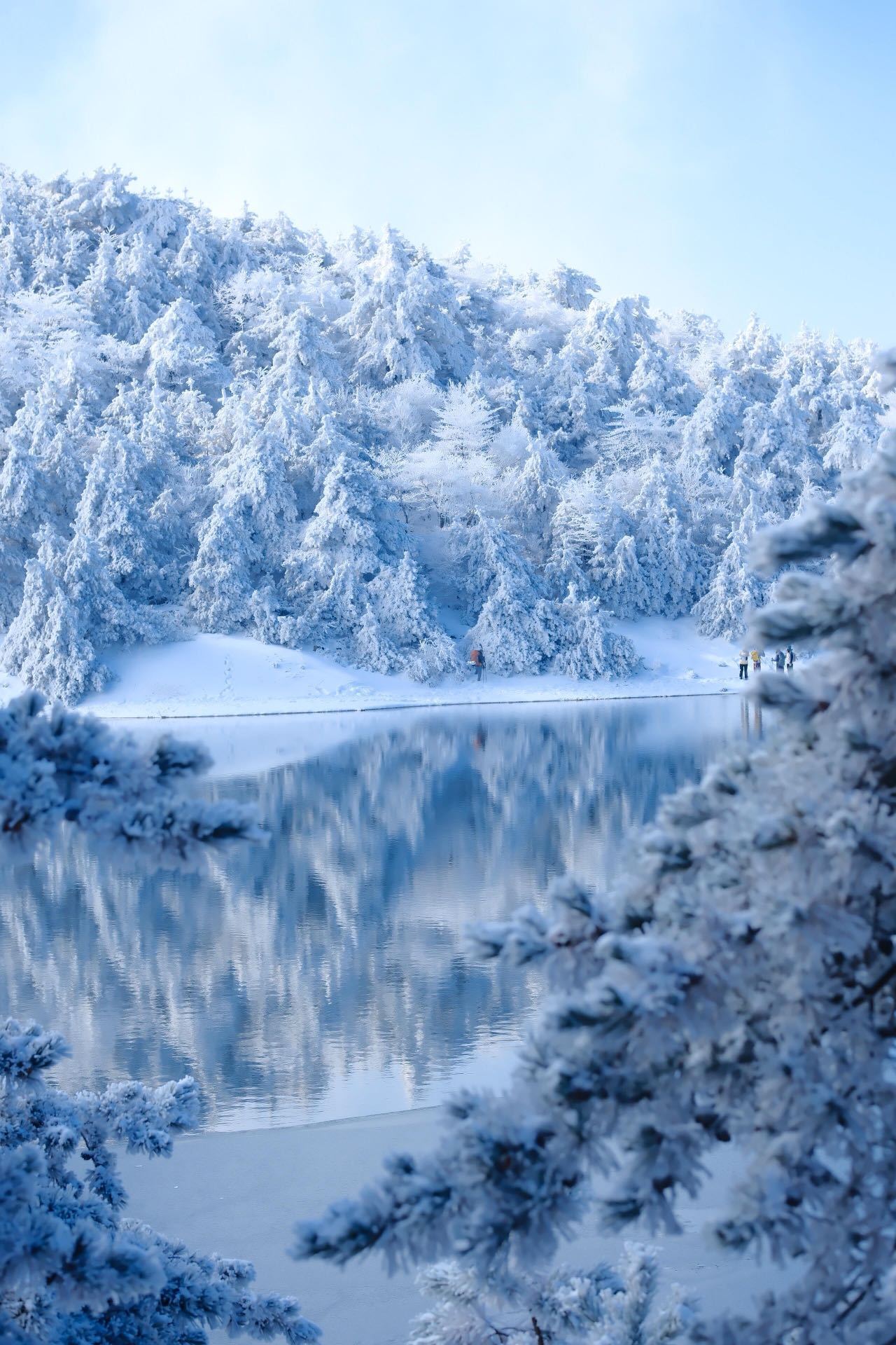 堪称“江南雪乡”｜临安百丈岭这里的雾凇堪称“江南雪乡”，徒步古道上欣赏，美得像走