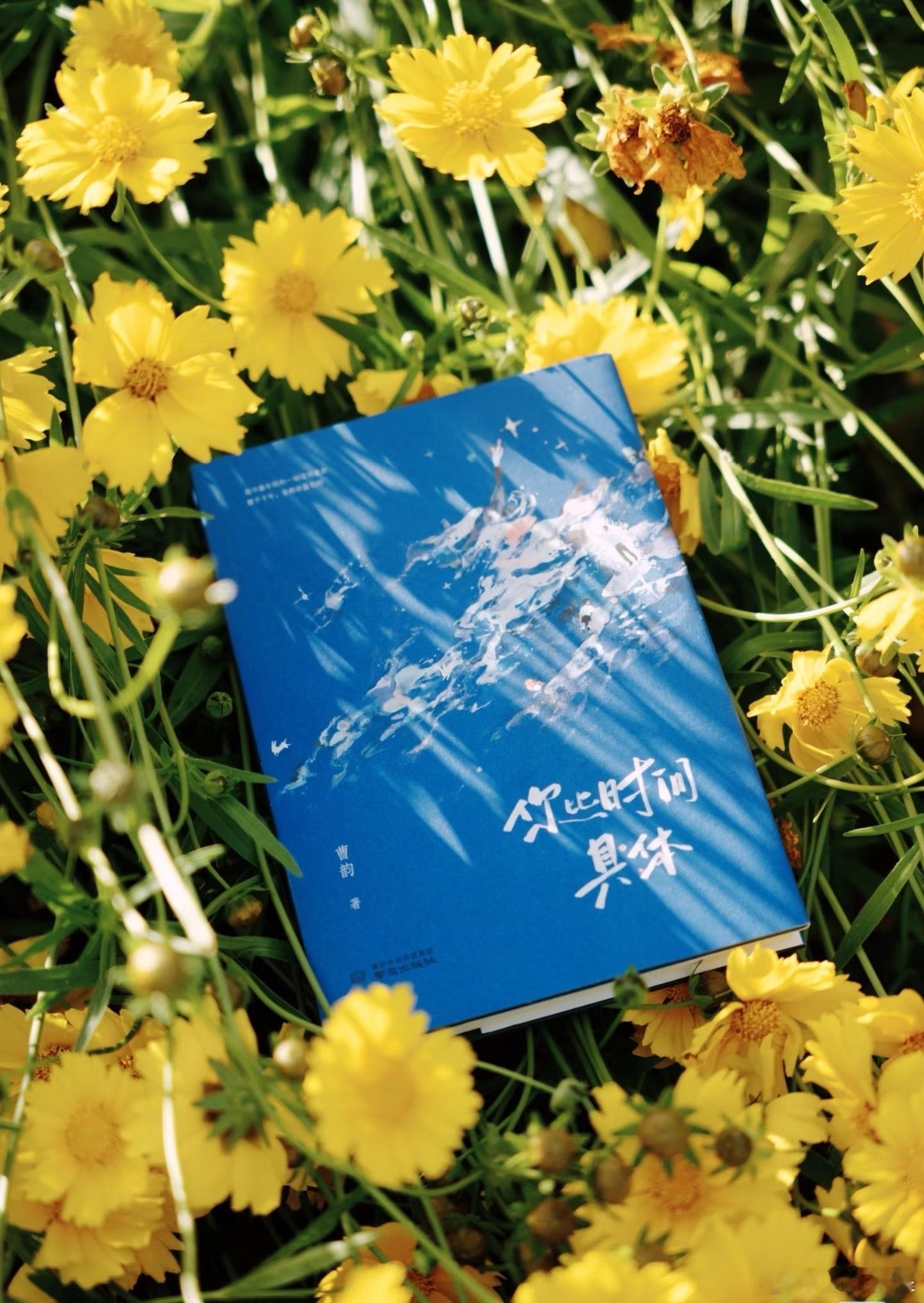 pick你心中的改编潜力王微博年度待改编IP评选每当有人谈到世界如何每当有人说起