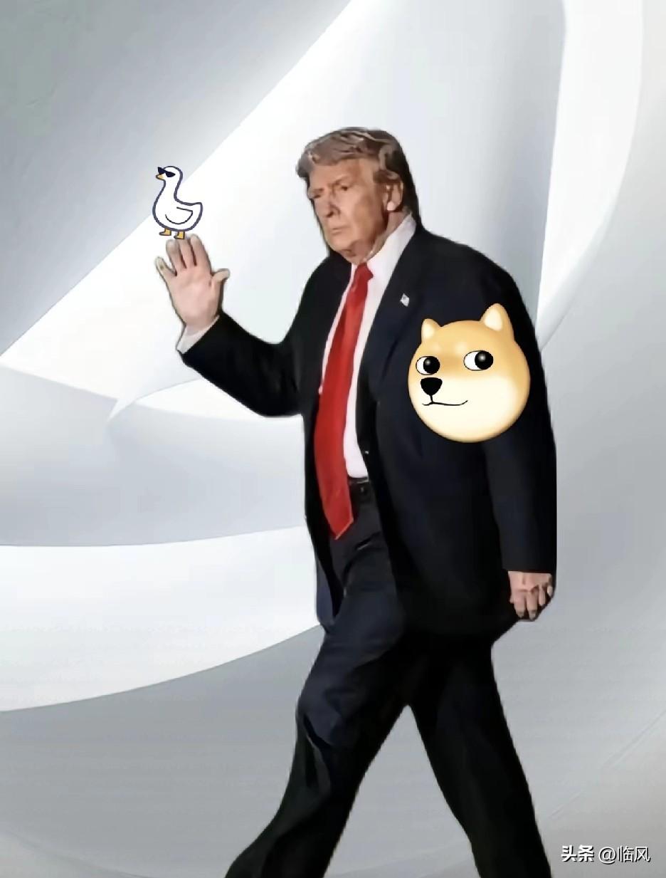 特朗普确定了！
美国一步都不会让！
​11月3号特朗普接受采访时说了，美国绝不让