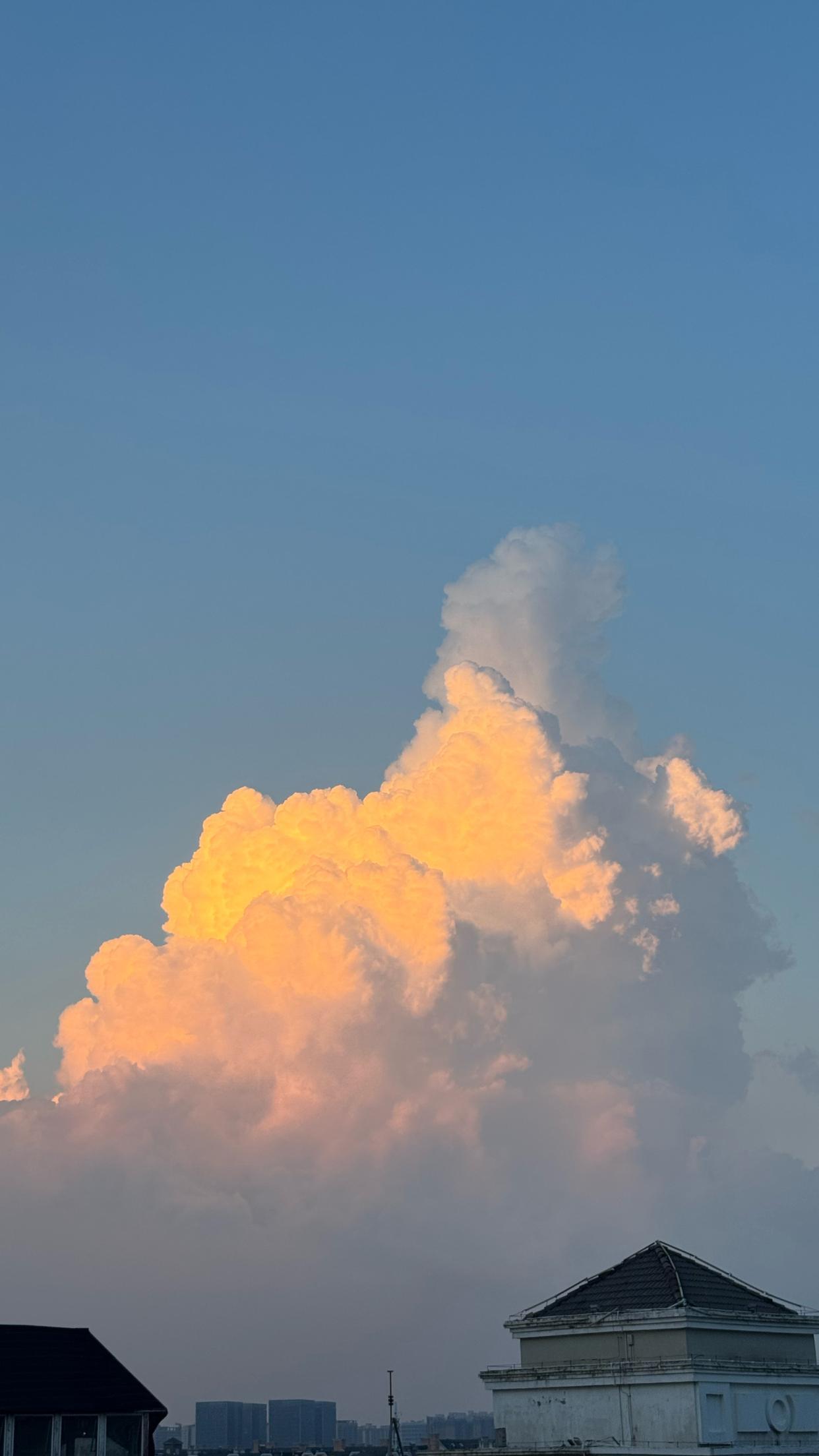 如果你也正好抬头 