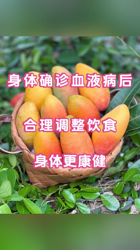 从现代医学角度来看，血液病的进展、治疗效果及并发症风险，与饮食结构、营养代谢密切