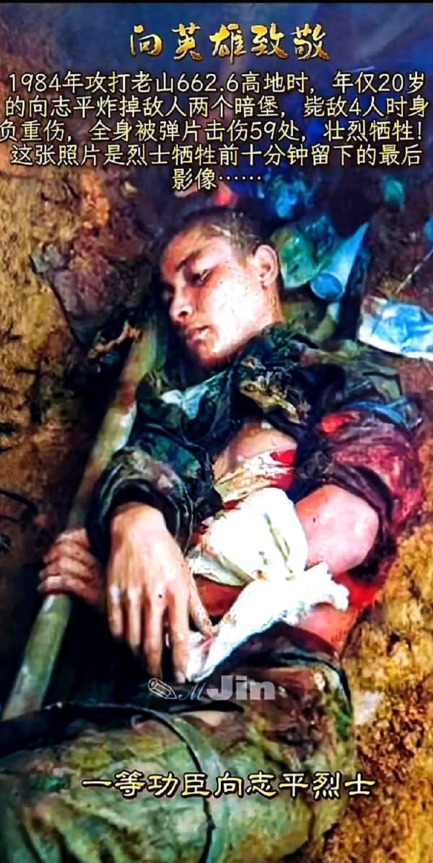 “他左眼还睁着，血把泥土染成铁锈色。”战友把向志平抬下1662.6高地时，这句话