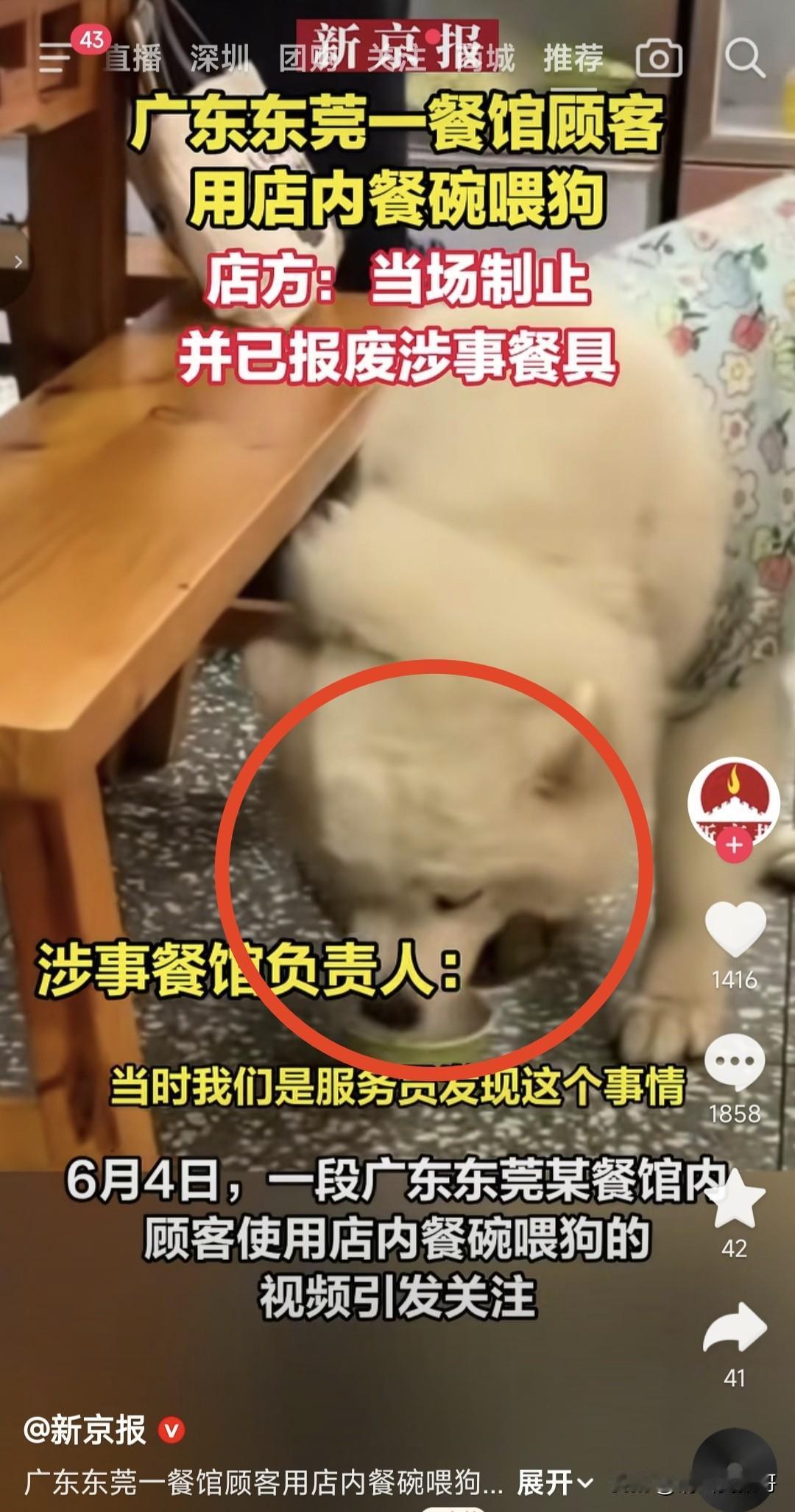 感觉最近一两年关于用公共餐具喂狗的事太多了，难道这些人在家每天也是用家里人吃饭的