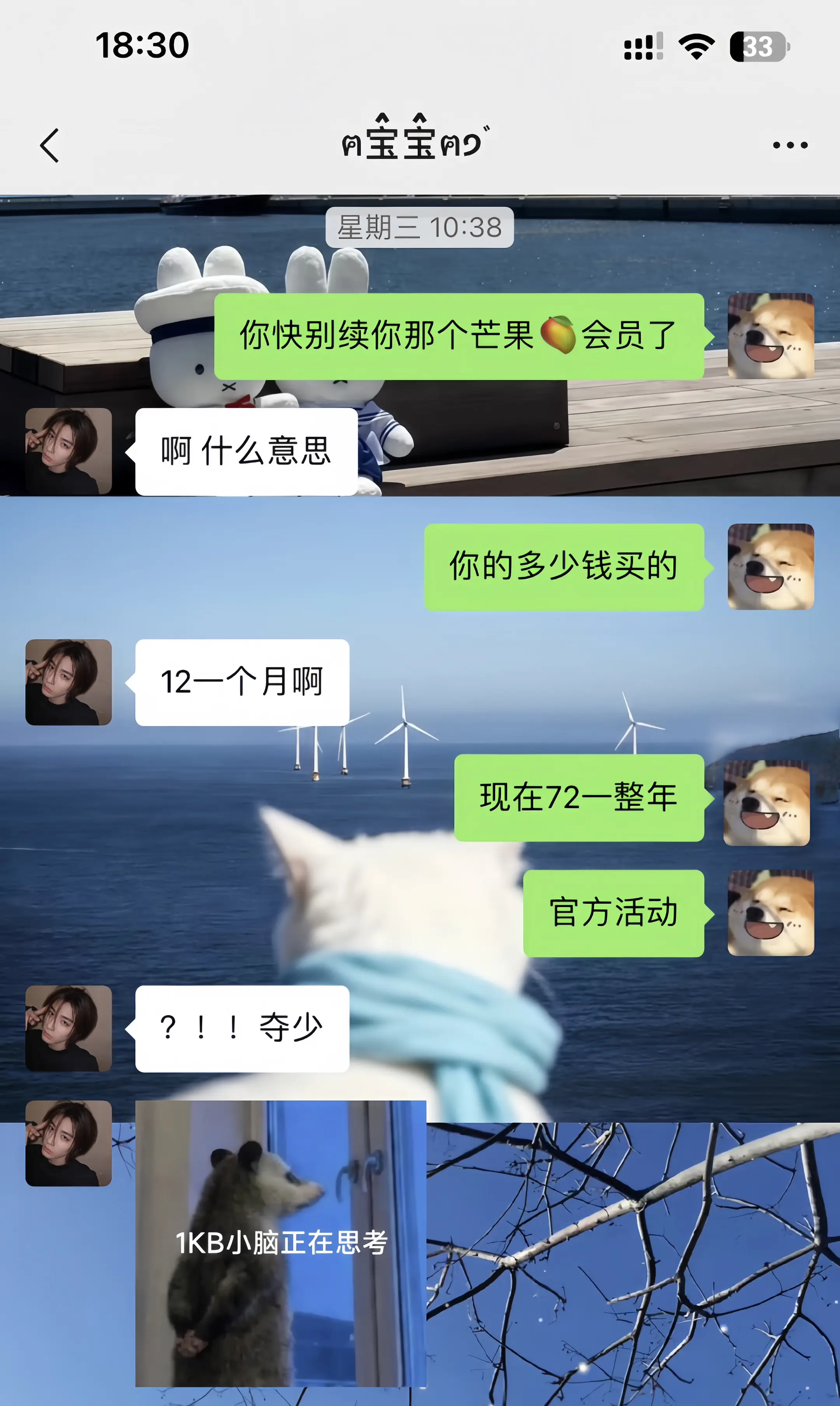 窝趣......芒果会员这个价格简直夯爆了!!